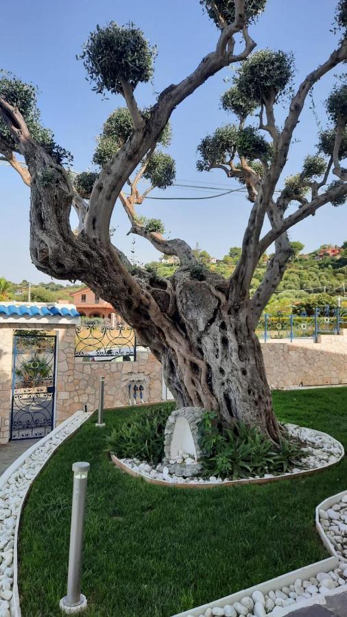 Villa Ludo A Zambrone Tropea Exteriér fotografie